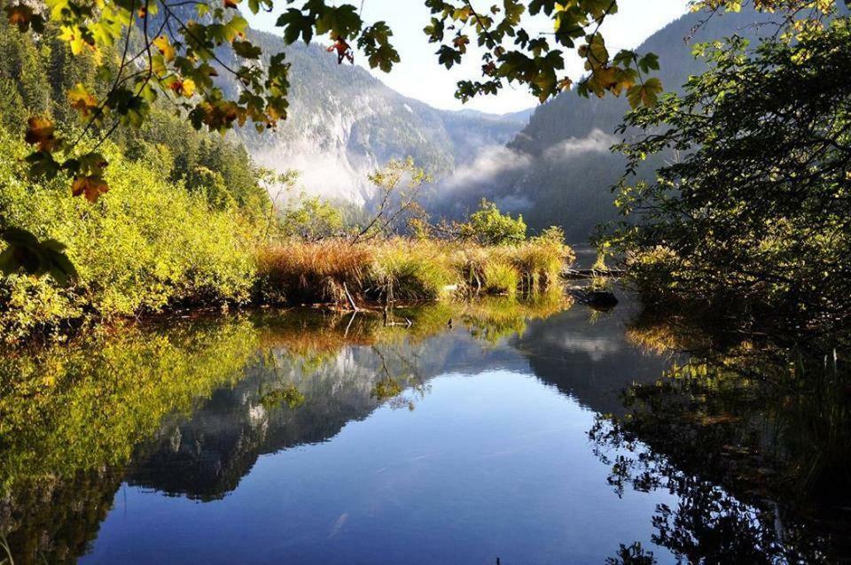 Greenheart Aussee Obersdorf Zewnętrze zdjęcie
