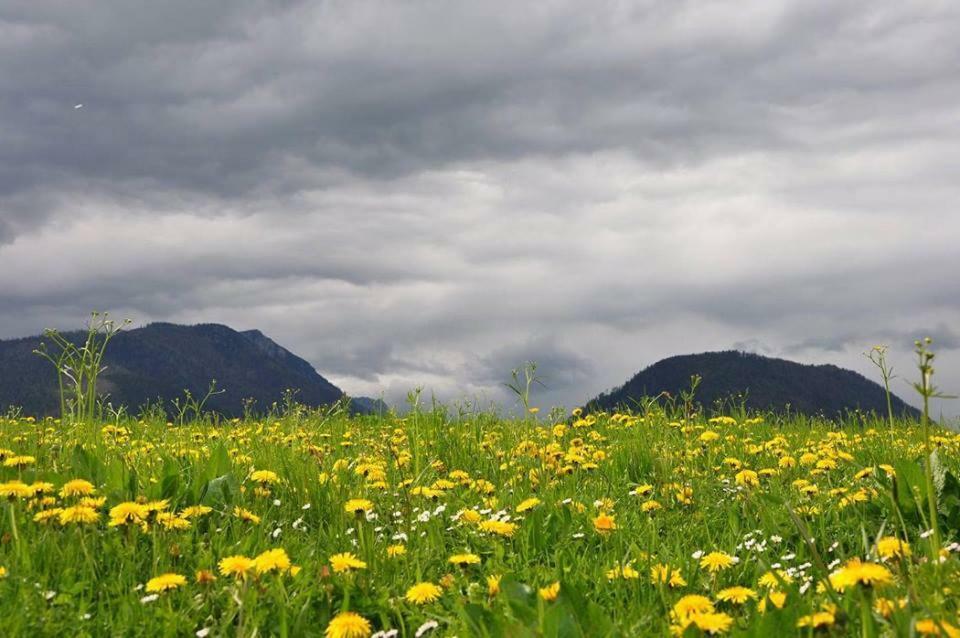 Greenheart Aussee Obersdorf Zewnętrze zdjęcie